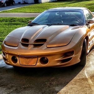 Meet your Posher, Goldmemberws6